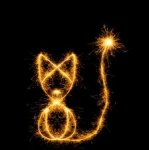cat fireworks.jpg
