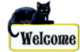 49823613031_cff7aa9cd7_o.gif