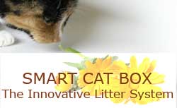 Smart Cat Box
