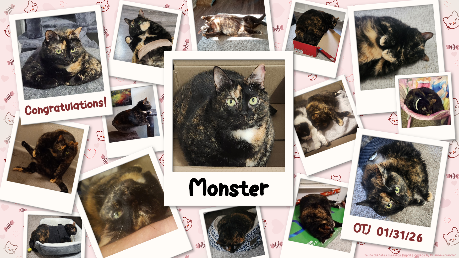 01-31-26 - Monster OTJ.png