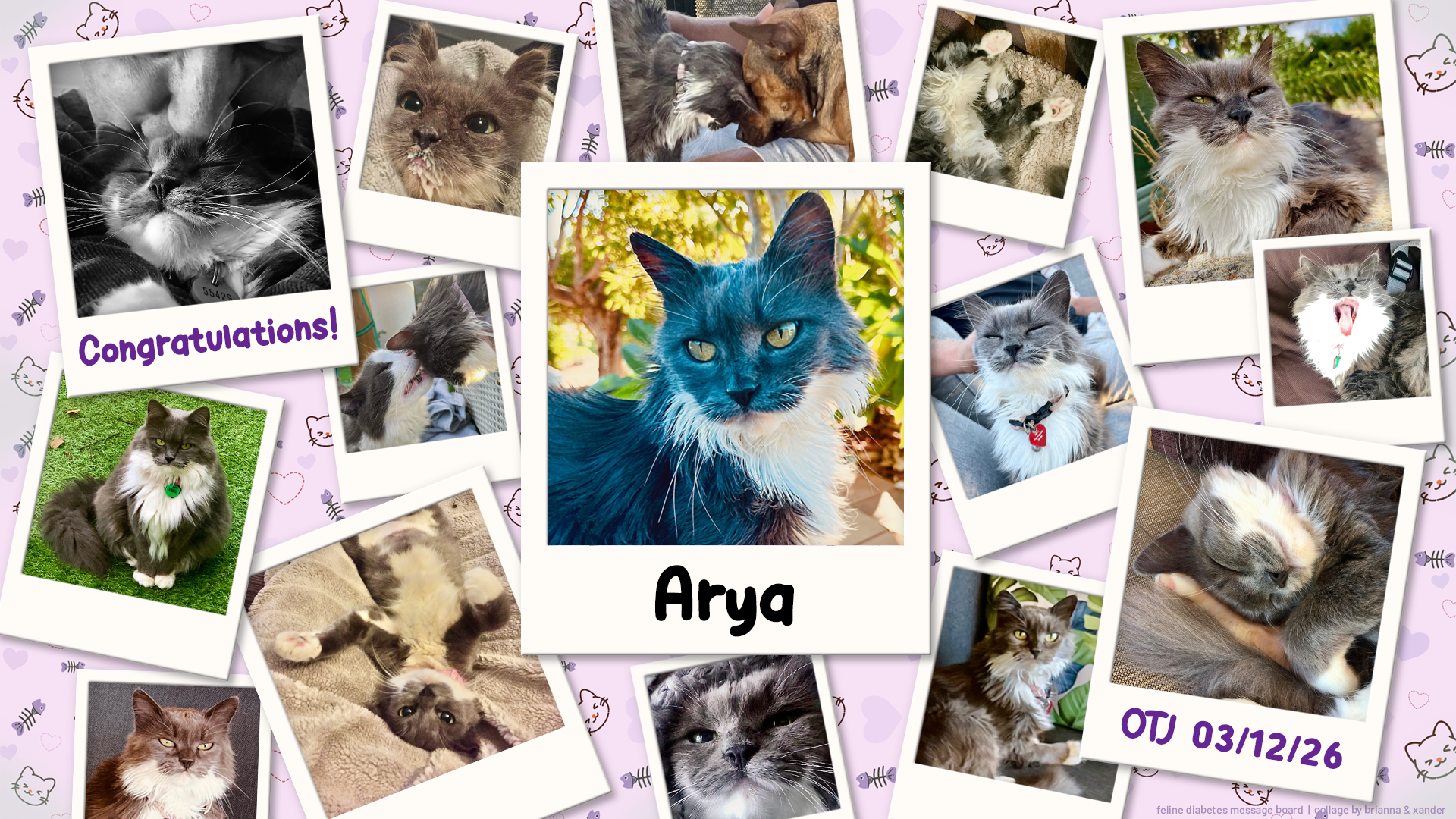 03-12-26 - Arya OTJ.png