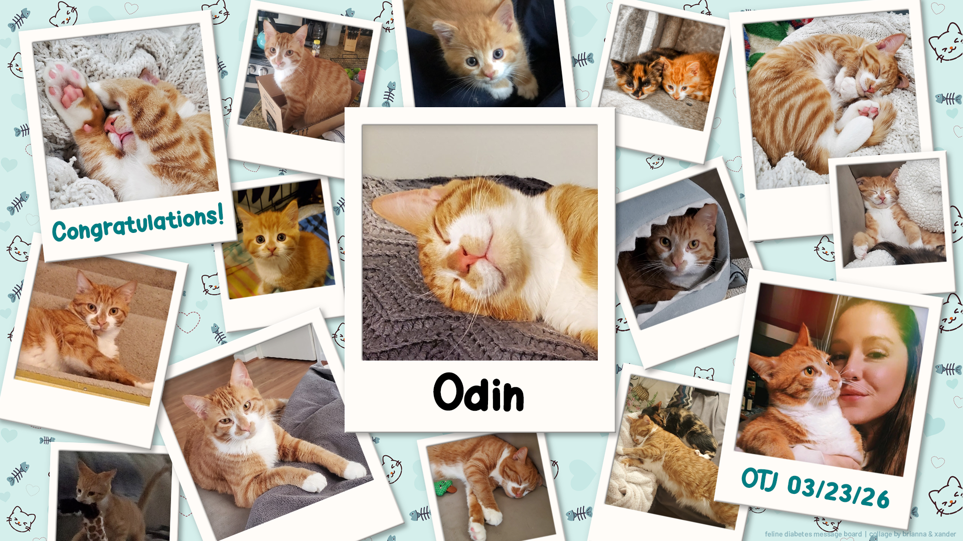 03-23-26 - Odin OTJ.png