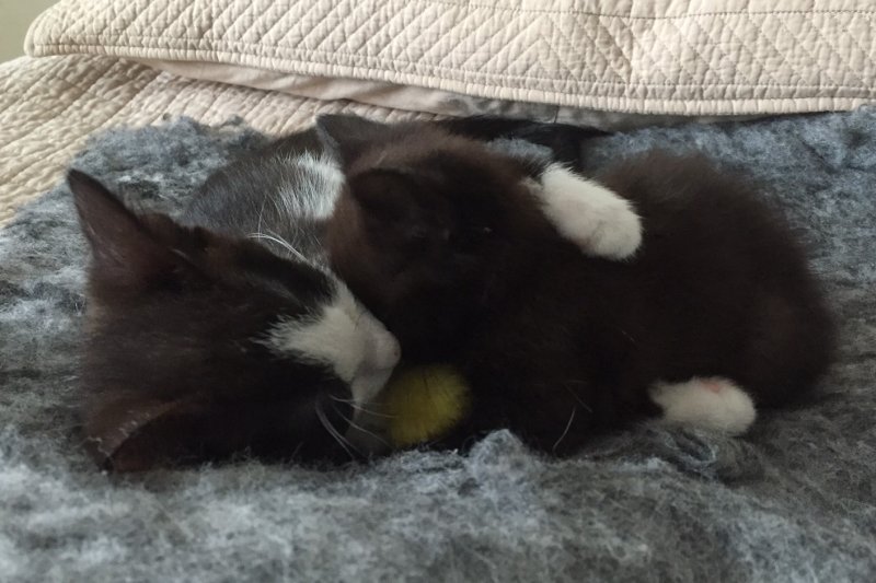 062616 Fern and Flora.JPG