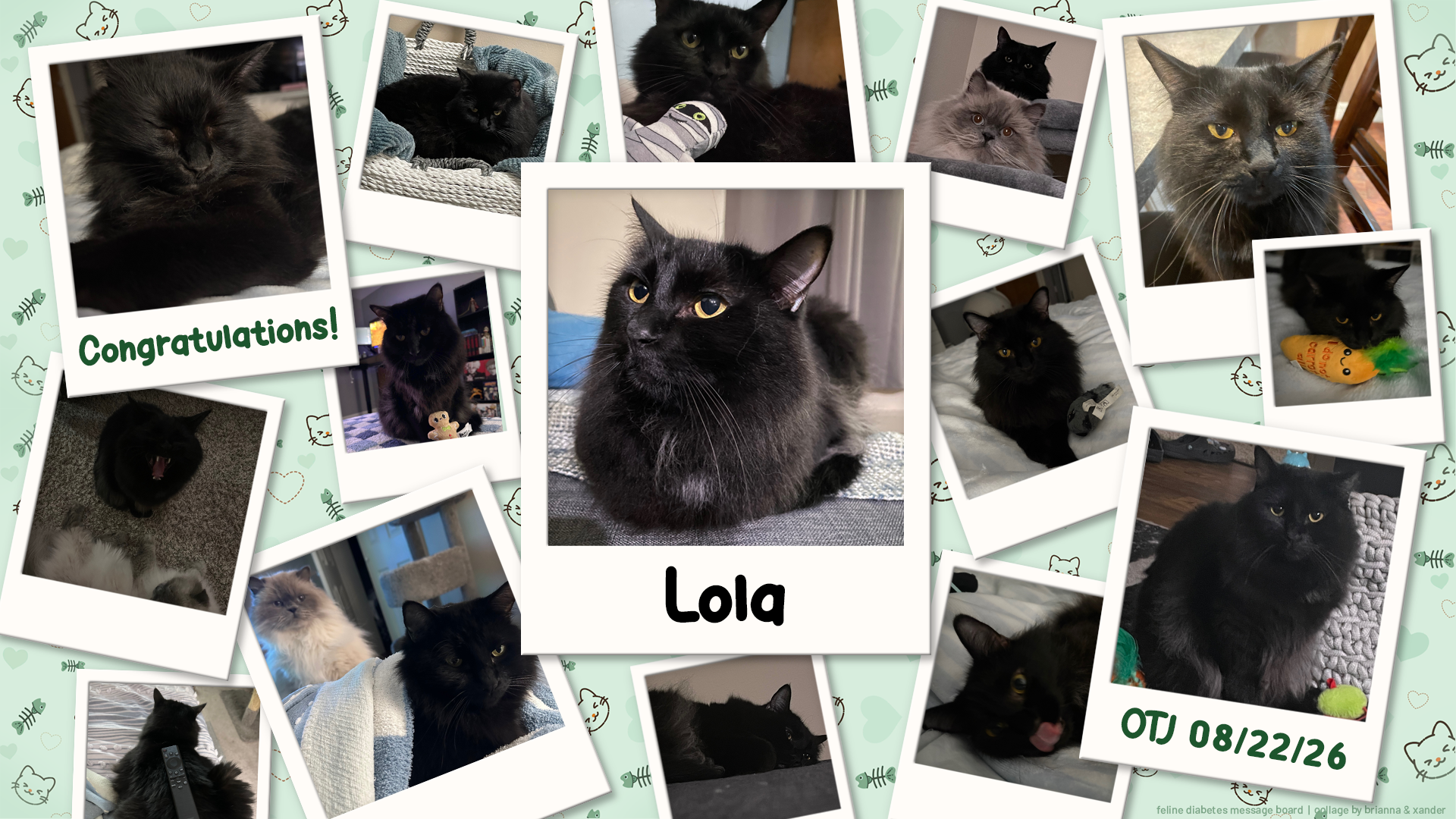 08-22-26 - Lola OTJ.png