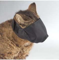 1-cat muzzle.jpg