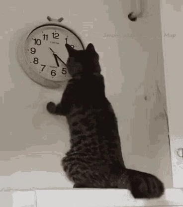 1000124914.jpg
