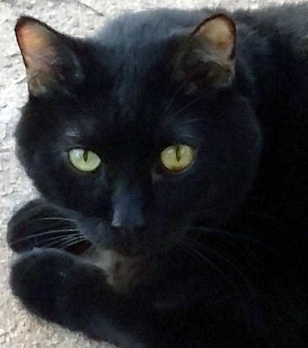 11-30-18 2 - Copy.jpg