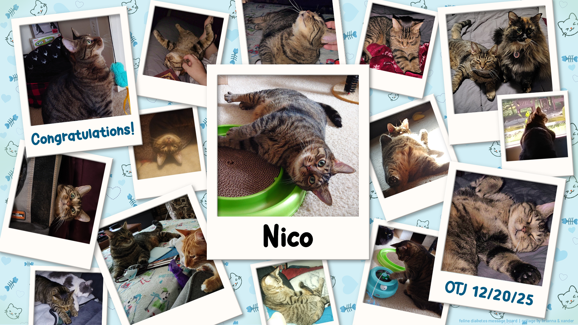 12-20-25 - Nico OTJ.png