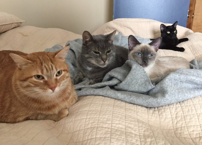 120916 Family photo.jpg