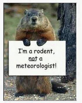 1363906647_8689_hog1.jpg