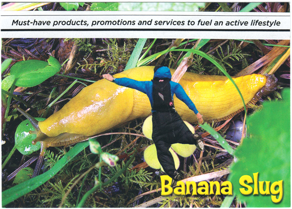 15-Banana-slug.jpg