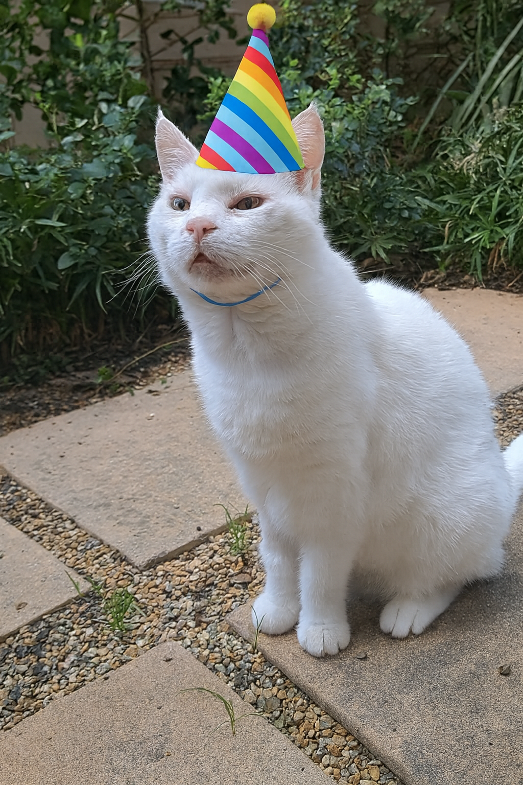 1755971119312.png