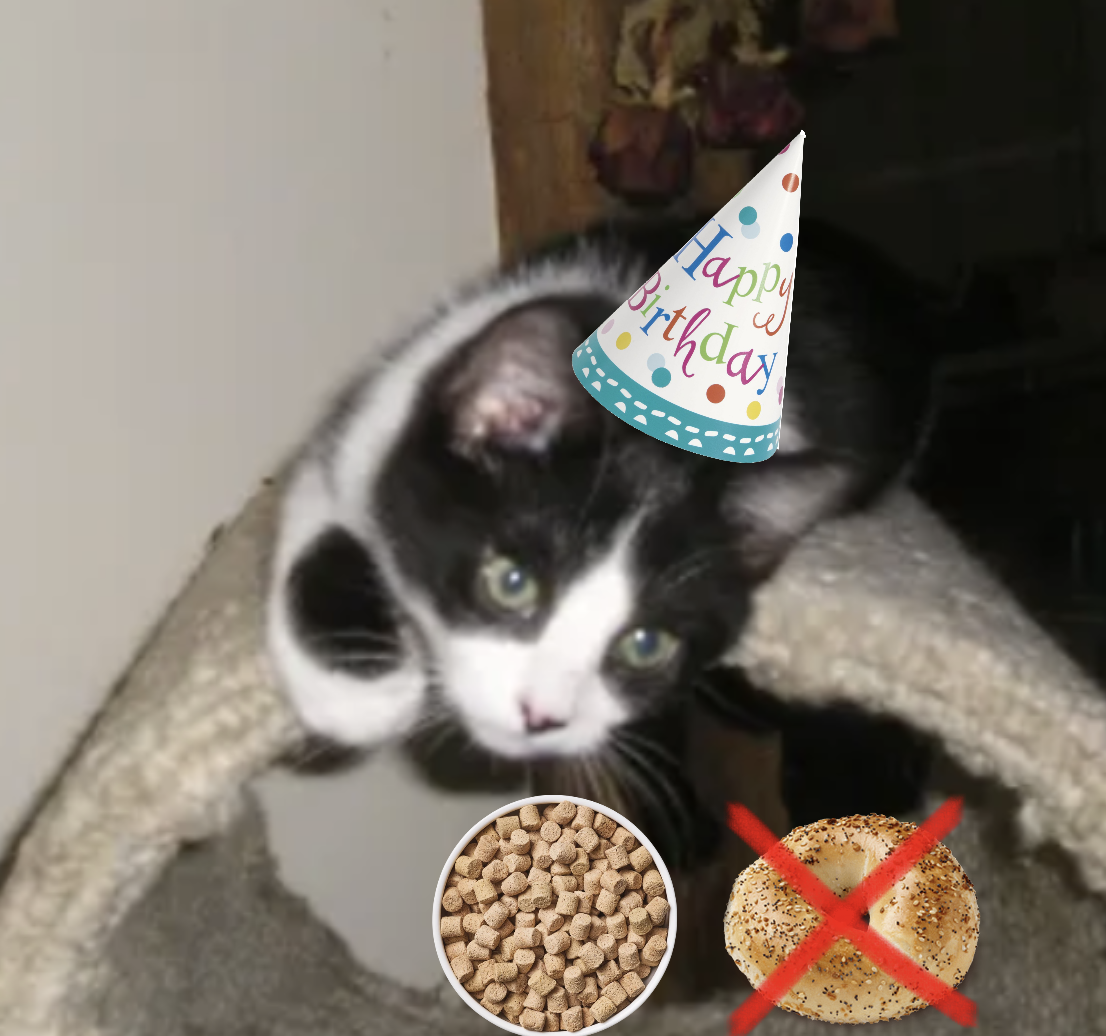 1790383876794.png