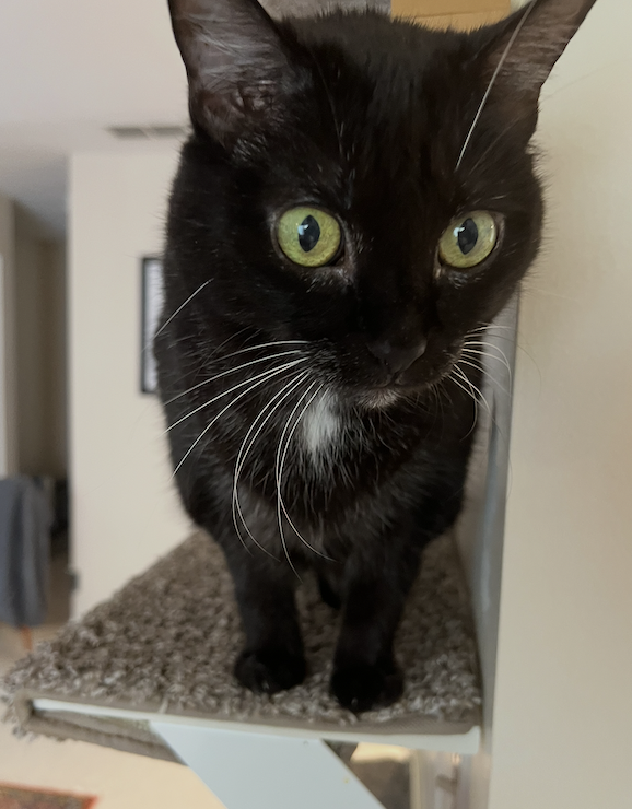 1790554841864.png