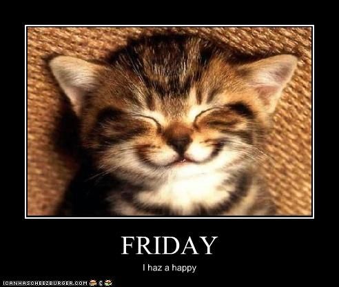 1d73c189e4b411f06b82c6ba7cd0c9a6--happy-animals-tgif.jpg
