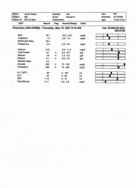 2 Ben SL Spay & Neuter 2.jpg