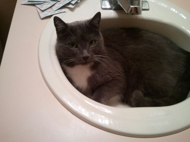 2012-05-26 09.34.52.jpg