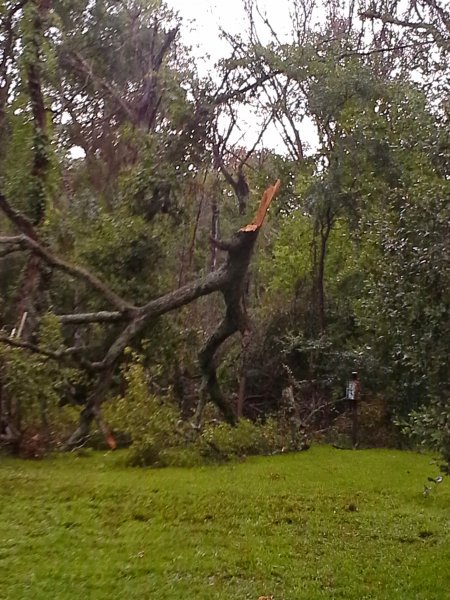 20120619_172002.jpg