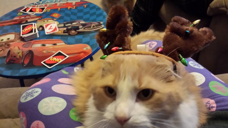 2013-11-29 16.23.45.jpg