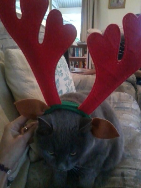 2013-12-25 17.35.03.jpg