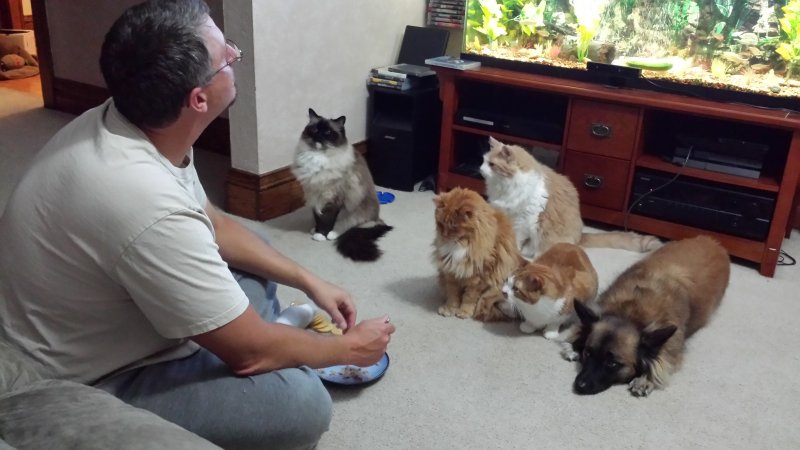 2014-09-24 19.30.50.jpg