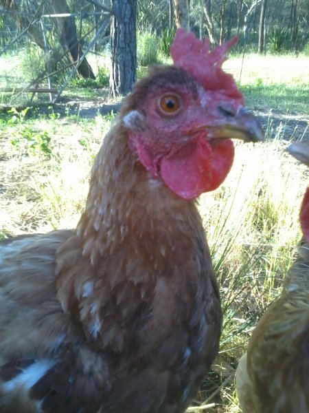 2015-12-06 18.35.53.jpg