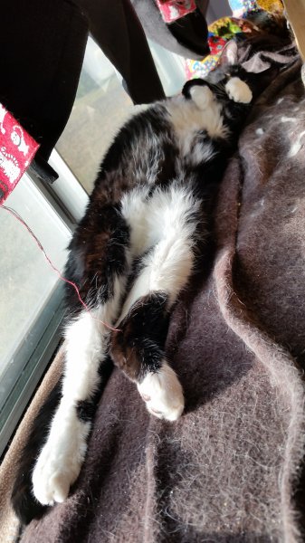 20150130_163823.jpg