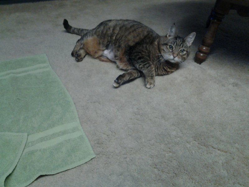 20150218_173939.jpg