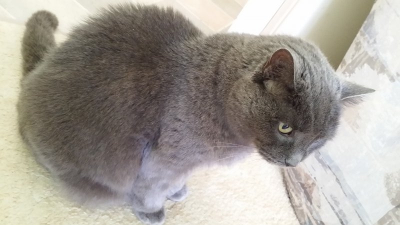 2016-01-07 14.10.21.jpg