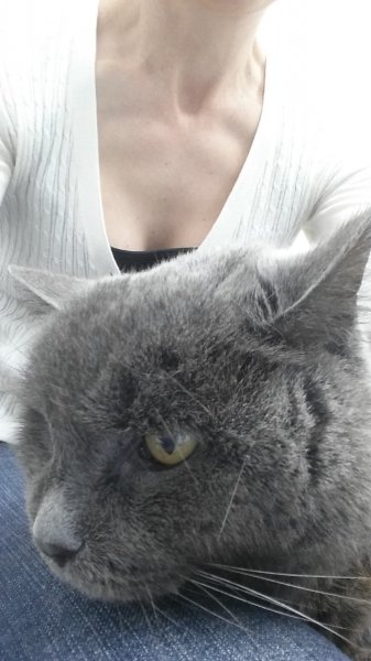 2016-10-25 09.31.23.jpg