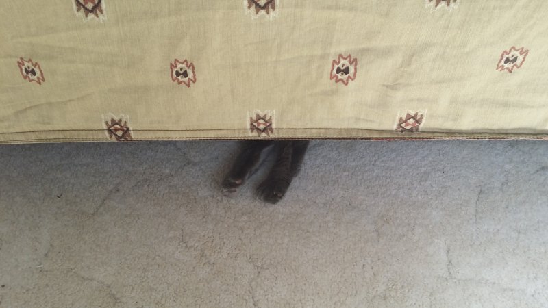 2016-11-06 10.47.11.jpg