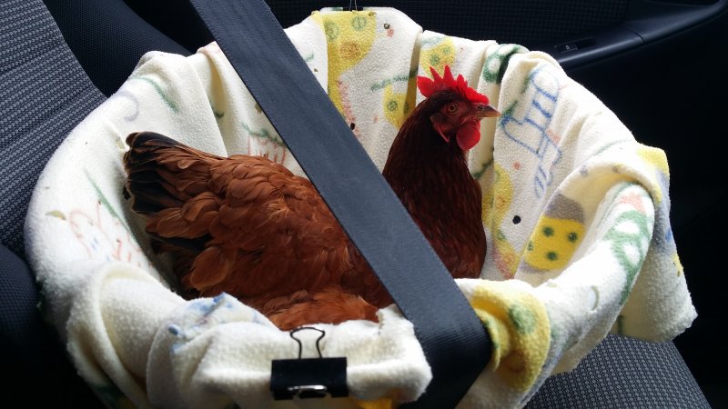 2016-11-08 09.28.02.jpg