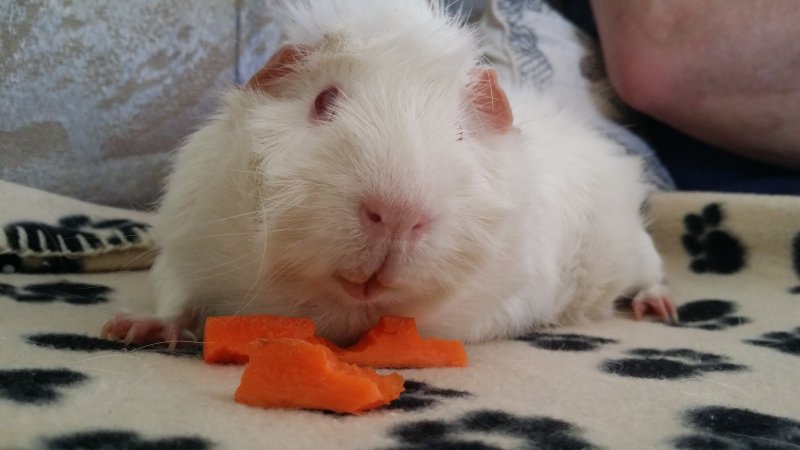 2016-11-12 17.05.12.jpg