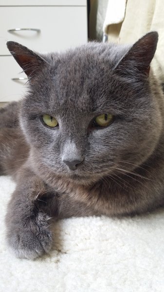 2016-11-17 11.28.16.jpg