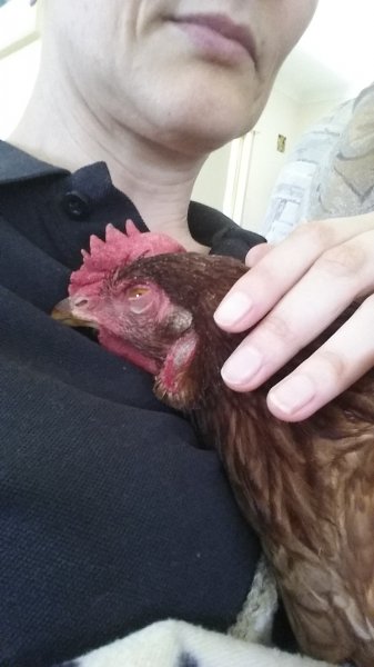 2016-11-22 13.52.00.jpg