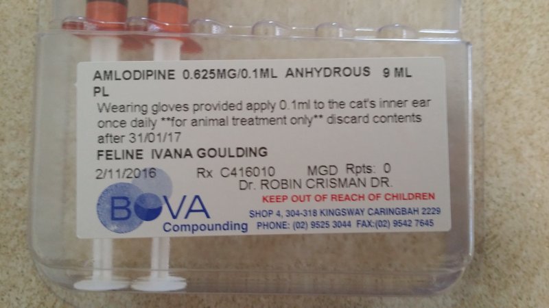 2016-11-25 10.07.31.jpg