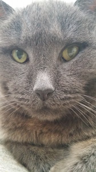 2016-12-04 15.38.04.jpg