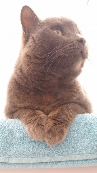 2016-12-29 10.35.23.jpg