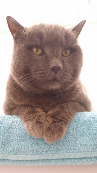 2016-12-29 10.35.29.jpg