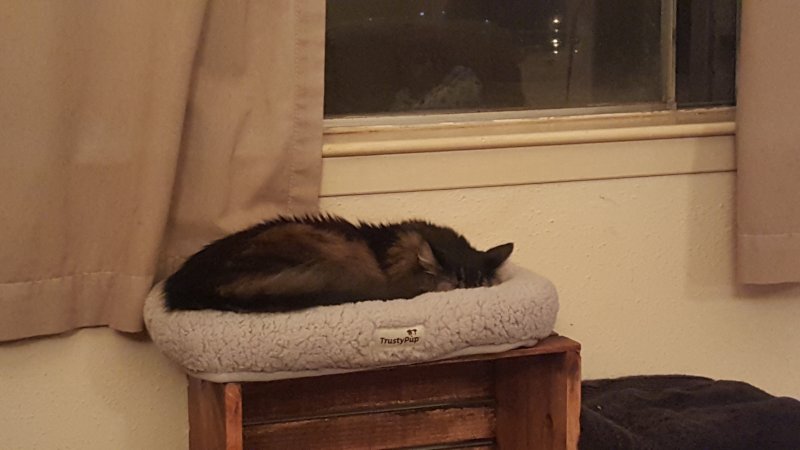 20161223_195624.jpg