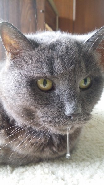 2017-01-01 11.31.18.jpg