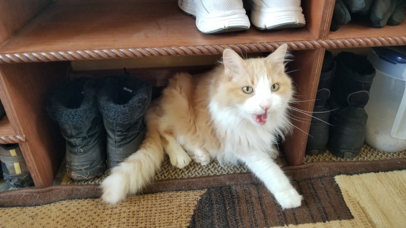 2017-08-08 16.23.11.jpg