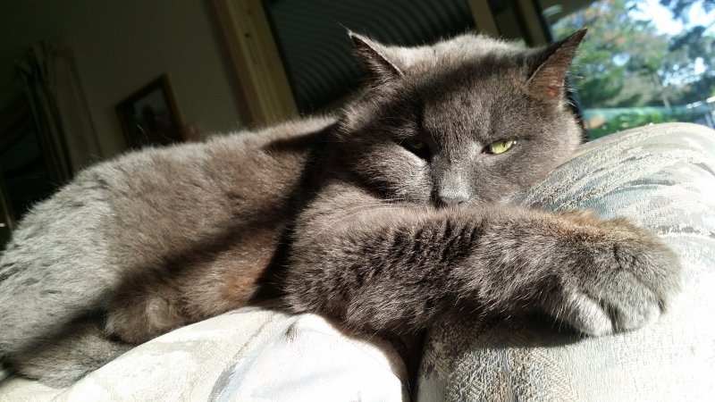 20170301_183828.jpg