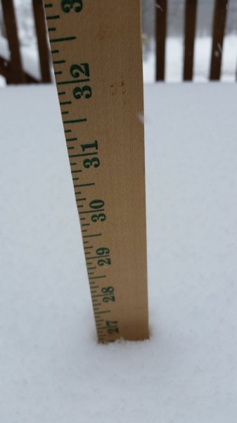 20170314_164721.jpg