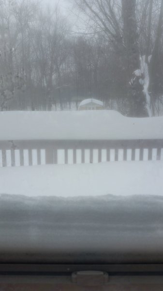 20170315_095206.jpg