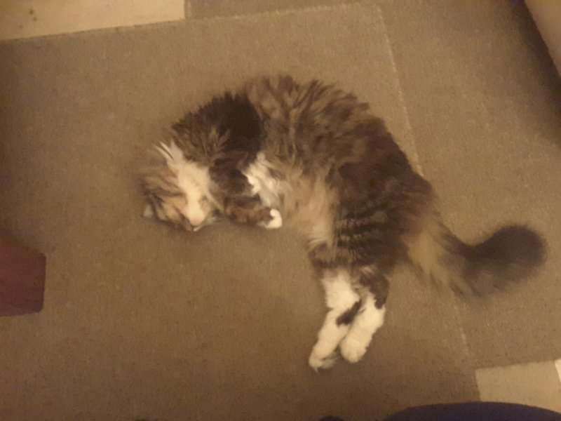 20170330_044911.jpg