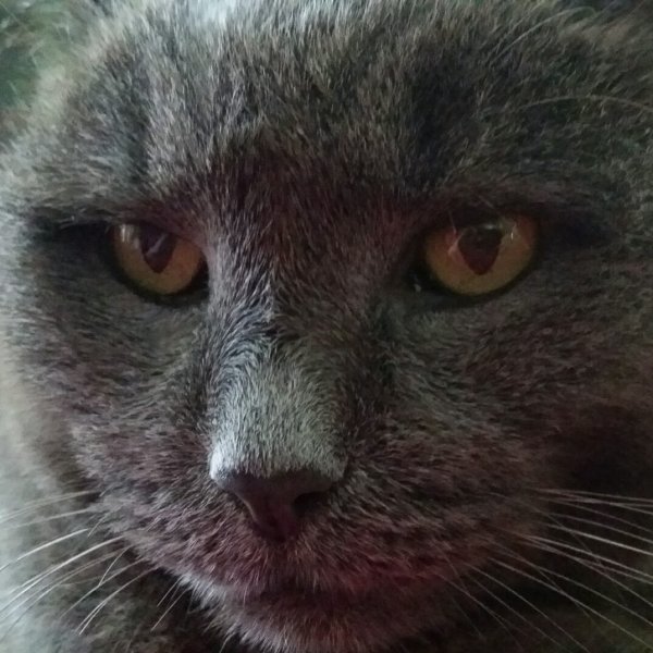 20170405_153921.jpg