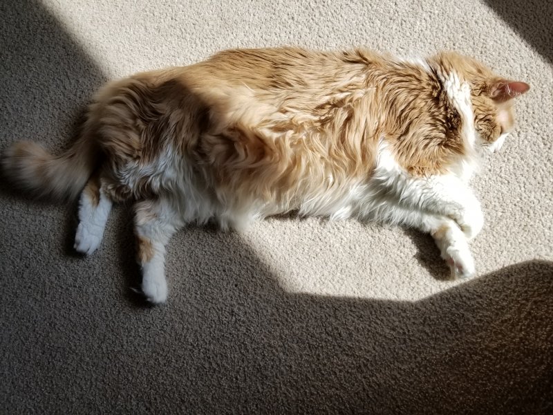 20170508_101849.jpg