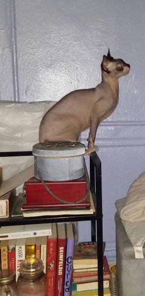 20170515_124319.jpg