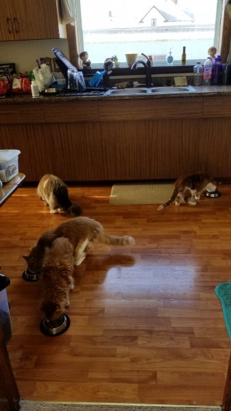 20170605_175829.jpg